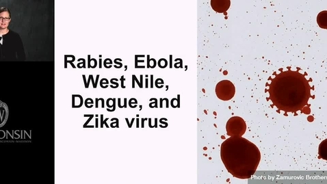 Thumbnail for Mohr - Virology 101