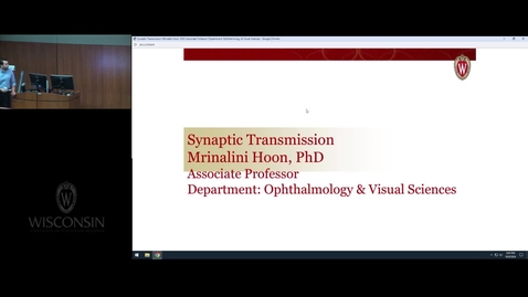 Thumbnail for Synaptic Transmission