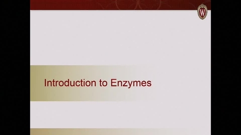 Thumbnail for Introduction to Enzymes