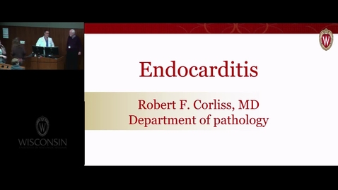 Thumbnail for BIB - REC Endocarditis
