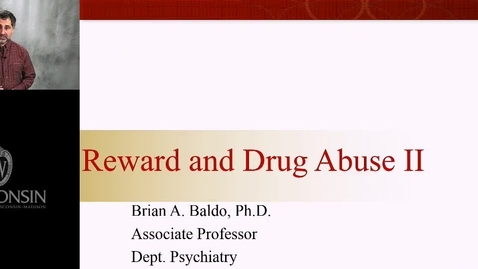 Thumbnail for Baldo - Reward and Reinforcement pt 2