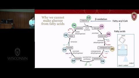 Thumbnail for Regulation of Glucose Oxidation