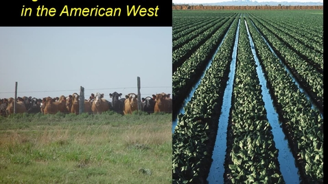 Thumbnail for Ranching