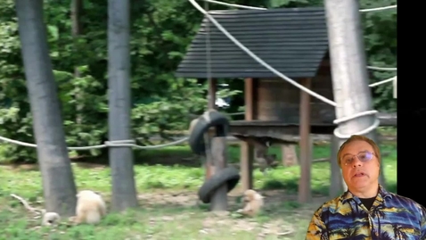 Thumbnail for GE with production