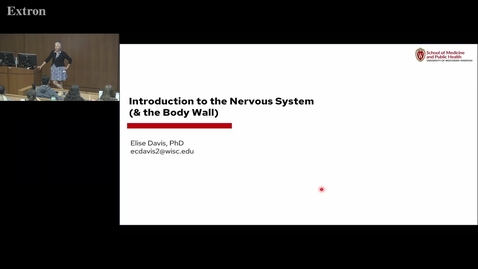 Thumbnail for Introduction to the Nervous System