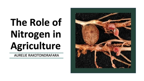 Thumbnail for T19_V2_The Role of Nitrogen in Agriculture