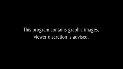 Thumbnail for The War that Made America Episode 1