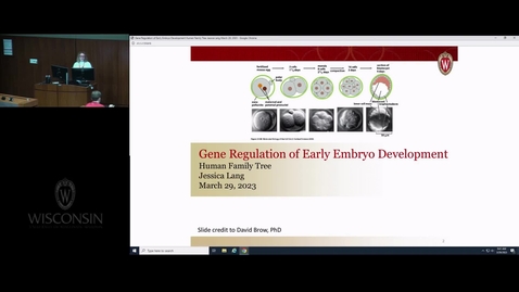 Thumbnail for HFT - REC Gene Regulation of Early Embryo Development