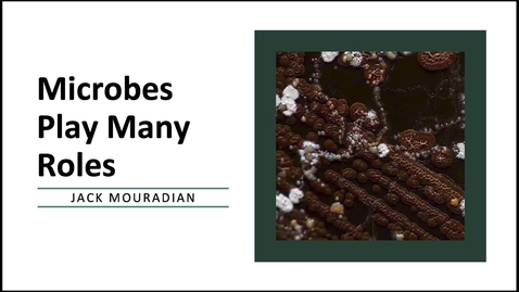 Thumbnail for T8_V1_Microbes Play Many Roles_Mouradian_V1