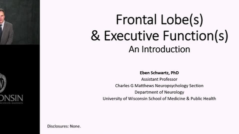 Thumbnail for Schwartz - Overview of Executive Functions