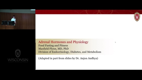 Thumbnail for Adrenal Hormones Physiology
