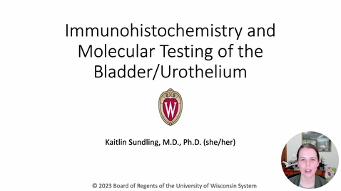 Thumbnail for Genetics 573: Bladder IHC and Molecular Testing