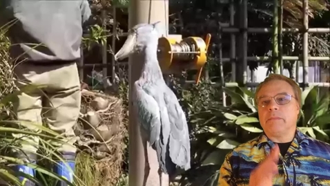 Thumbnail for General Equilibrium in Exchange Economies with Monopoly