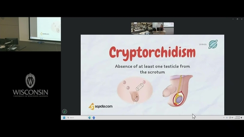 Thumbnail for 602 - 602 Congenital and Structural Renal Disorders Melissa Delaney PA-C