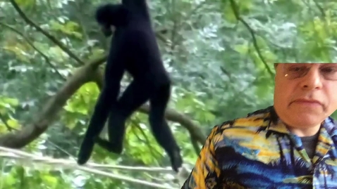 Thumbnail for Political Economy