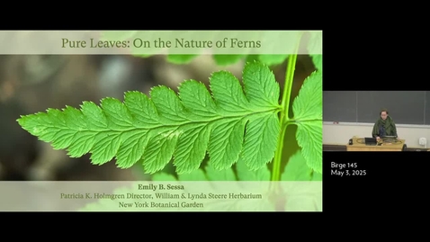 Thumbnail for Givnishfest 05/03/25 talk 19: Emily Sessa