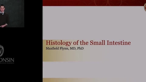 Thumbnail for Flynn - Histology of the Small Intestine