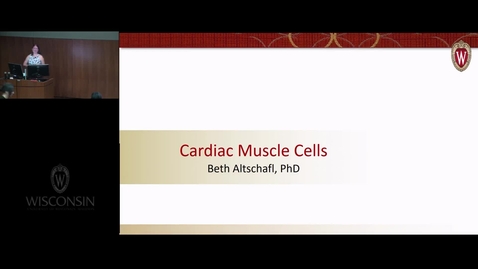 Thumbnail for Cardiac Muscle Cells