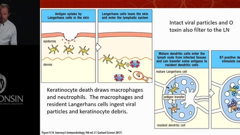 Thumbnail for Ranheim - Adaptive Immune System 2