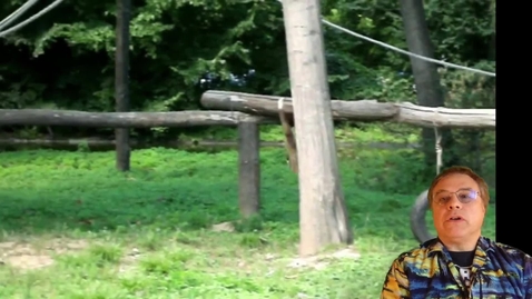 Thumbnail for General Equilibrium under Uncertainty, Part 2