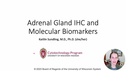 Thumbnail for entry Genetics 673 Adrenal gland IHC and molecular biomarkers