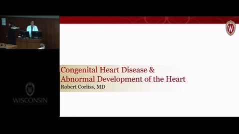 Thumbnail for HFT - RECAbnormal Development of the Heart
