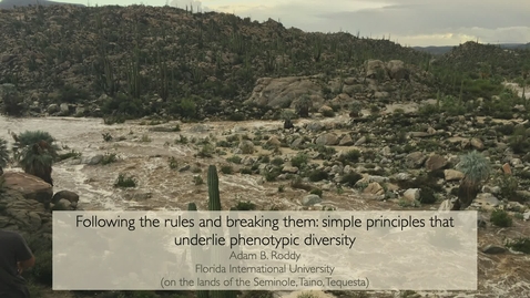 Thumbnail for Biology Colloquium: Adam Roddy 11/03/22