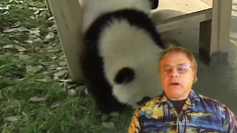 Thumbnail for Public Goods Tragedy