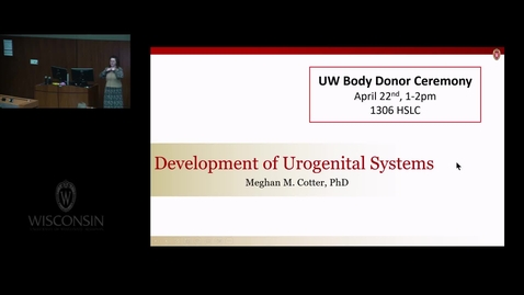Thumbnail for HFT - REC Development of Urogenital Systems
