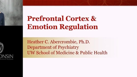 Thumbnail for Abercrombie - Prefrontal Cortex and Emotional Regulation