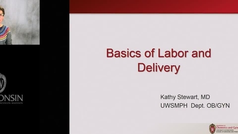 Thumbnail for Labor Delivery