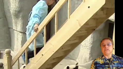 Thumbnail for General Equilibrium in Exchange Economies, Part I