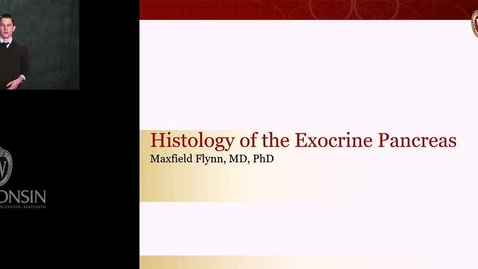 Thumbnail for Flynn - Histology of the Exocrine Pancreas