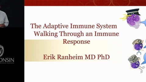 Thumbnail for Ranheim - Adaptive Immune System 1