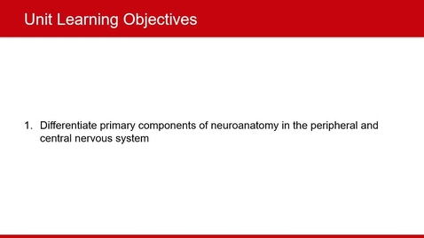 Thumbnail for Pain Neuroanatomy