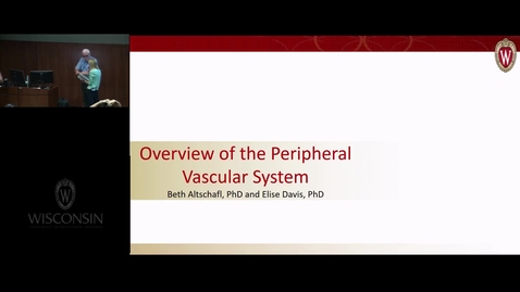 Thumbnail for entry Overview of the Peripheral Vascular System