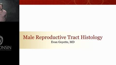 Thumbnail for Goyette - Male Reproductive Tract Histopathology