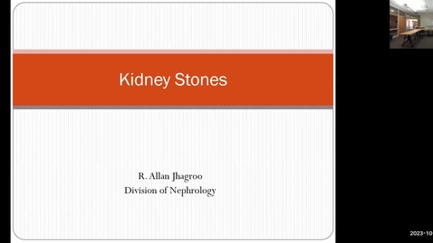 Thumbnail for Nephrolithiasis #1 (Jhagroo)