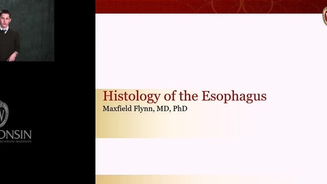 Thumbnail for Flynn - Histology of the Esophagus