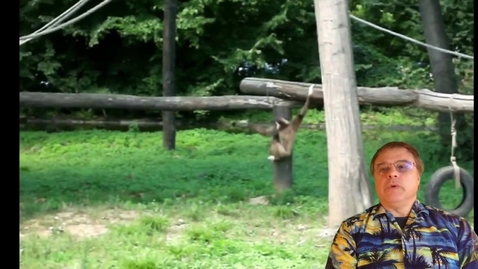 Thumbnail for General Equilibrium with Exchange, Part 2