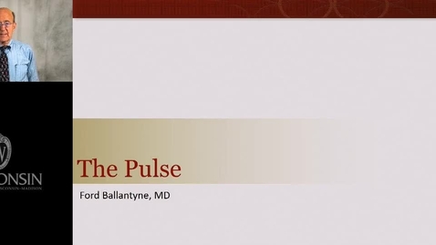 Thumbnail for The Pulse