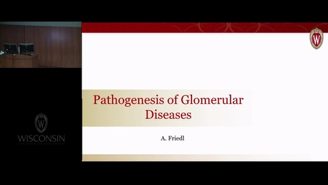 Thumbnail for Glomerular Pathogenesis