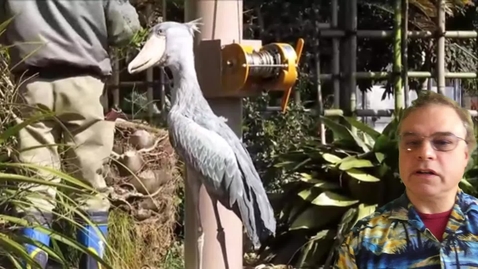 Thumbnail for Last 713 Synchro Lecture on Monopoly and Spatial Competition