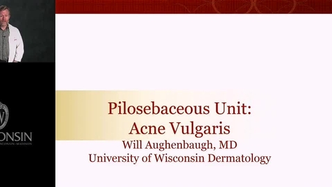 Thumbnail for Aughenbaugh - Pilosebaceous Unit Acne Vulgaris