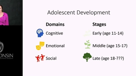 Thumbnail for entry Ruedinger - Development in Puberty Social Emotional Cognitive