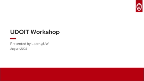 Thumbnail for UDOIT Workshop
