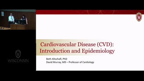 Thumbnail for BIB - REC Overview of the CV System Epi of CVD