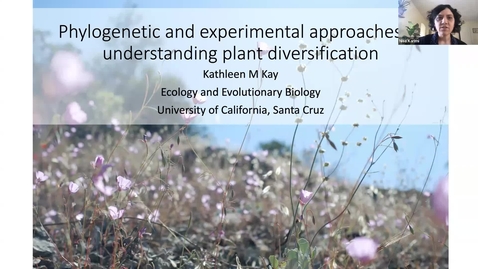 Thumbnail for Biology Colloquium: Kathleen Kay - February 3, 2022