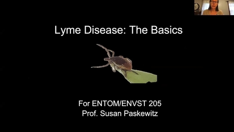 Thumbnail for entry Lyme Basics SP