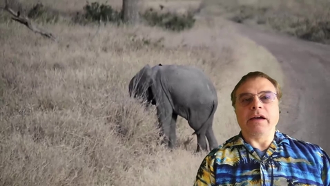 Thumbnail for Pure Public Goods and the Social Planner